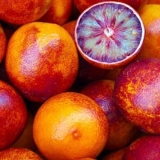 Tinktura narandže na votki kod kuće